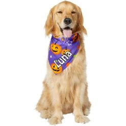 Frisco Halloween Pumpkins Personalized Dog & Cat Bandana 14 Frisco Halloween Pumpkins Personalized Dog & Cat Bandana -Mewhaus Shop 242815 PT6. AC SS1800 V1618509475
