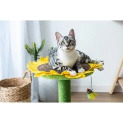 Catry Sunflower 23.2-in Sisal Cat Scratching Post With Toy -Mewhaus Shop 244332 PT5. AC SS1800 V1595019083