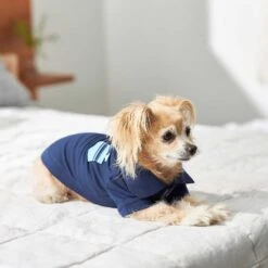 Frisco Dog & Cat Polo Shirt With Accent Pocket -Mewhaus Shop 248880 PT7. AC SS1800 V1644960683