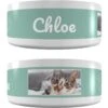Frisco Playful Kitty Ceramic Personalized Cat Bowl, 1-cup, 8oz