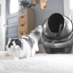 Litter-Robot 3 WiFi Enabled Automatic Self-Cleaning Cat Litter Box -Mewhaus Shop 251802 PT8. AC SS1800 V1617988915
