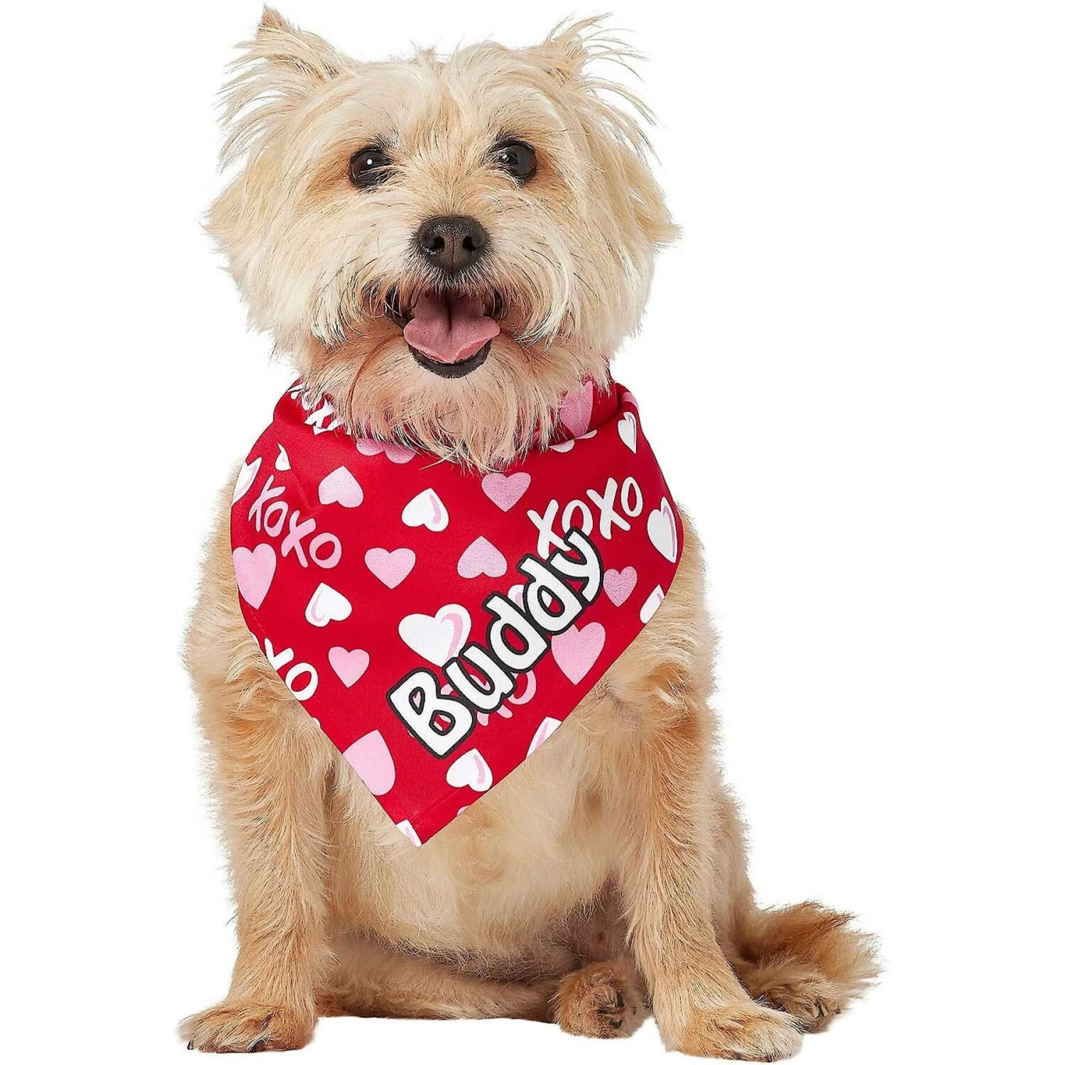Frisco XOXO Hearts Personalized Dog & Cat Bandana 7 Frisco XOXO Hearts Personalized Dog & Cat Bandana - Image 7