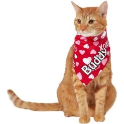 Frisco XOXO Hearts Personalized Dog & Cat Bandana 16 Frisco XOXO Hearts Personalized Dog & Cat Bandana -Mewhaus Shop 254203 PT7. AC SS1800 V1632417974