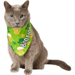 Frisco Green Ale Personalized Dog & Cat Bandana -Mewhaus Shop 254207 PT7. AC SS1800 V1618510956