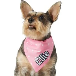 Frisco Polka Dot Personalized Dog & Cat Bandana -Mewhaus Shop 254223 PT6. AC SS1800 V1696432728