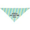 Frisco Big Brother Personalized Dog & Cat Bandana