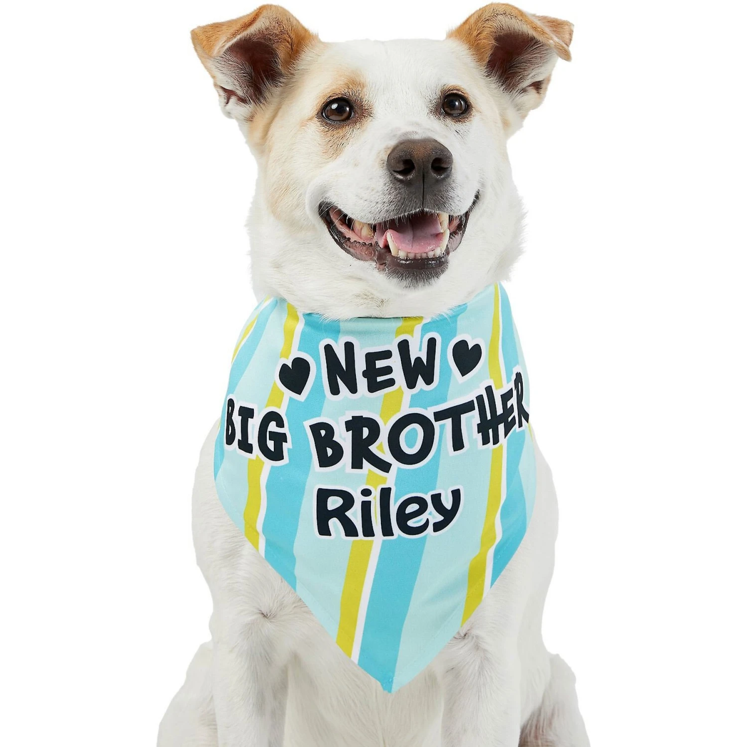 Frisco Big Brother Personalized Dog & Cat Bandana 7 Frisco Big Brother Personalized Dog & Cat Bandana - Image 7