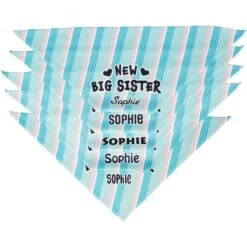 Frisco Big Sister Personalized Dog & Cat Bandana 13 Frisco Big Sister Personalized Dog & Cat Bandana -Mewhaus Shop 254235 PT4. AC SS1800 V1619558530