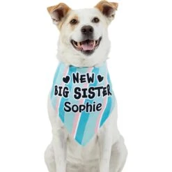 Frisco Big Sister Personalized Dog & Cat Bandana 15 Frisco Big Sister Personalized Dog & Cat Bandana -Mewhaus Shop 254235 PT6. AC SS1800 V1619558258
