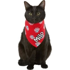 Frisco Patriotic Paws Personalized Dog & Cat Bandana -Mewhaus Shop 254243 PT7. AC SS1800 V1619559130