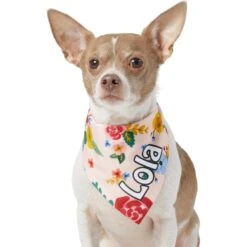 Frisco Floral Personalized Dog & Cat Bandana -Mewhaus Shop 254255 PT6. AC SS1800 V1618507356