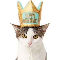 Frisco Happy Birthday Dog & Cat Crown & Frisco Dog & Cat Birthday Bandana 7 Frisco Happy Birthday Dog & Cat Crown & Frisco Dog & Cat Birthday Bandana -Mewhaus Shop 255523 PT2. AC SS1800 V1603716120