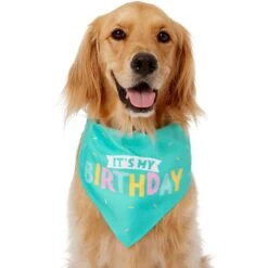Frisco Happy Birthday Dog & Cat Crown & Frisco Dog & Cat Birthday Bandana 8 Frisco Happy Birthday Dog & Cat Crown & Frisco Dog & Cat Birthday Bandana -Mewhaus Shop 255523 PT3. AC SS1800 V1603716114