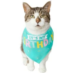 Frisco Happy Birthday Dog & Cat Crown & Frisco Dog & Cat Birthday Bandana 9 Frisco Happy Birthday Dog & Cat Crown & Frisco Dog & Cat Birthday Bandana -Mewhaus Shop 255523 PT4. AC SS1800 V1603716120