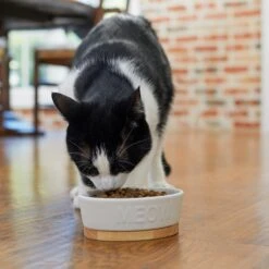 Frisco Oval Meow Non-skid Ceramic Cat Bowl With Wood Base -Mewhaus Shop 256080 PT2. AC SS1800 V1615310782