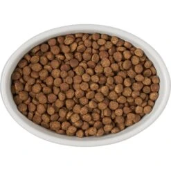 Frisco Oval Meow Non-skid Ceramic Cat Bowl With Wood Base -Mewhaus Shop 256080 PT5. AC SS1800 V1615312016