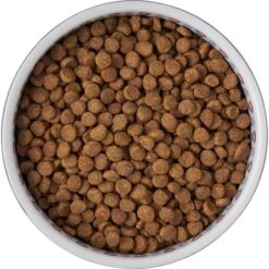 Frisco Kaleidoscope Pattern Non-skid Ceramic Dog & Cat Bowl -Mewhaus Shop 256090 PT5. AC SS1800 V1615312887