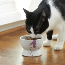 Frisco Cat Print Non-skid Elevated Ceramic Cat Bowl, Short -Mewhaus Shop 256096 PT2. AC SS1800 V1616522571