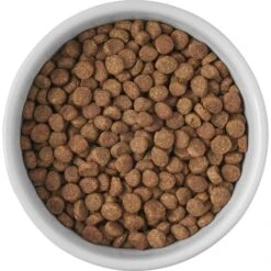 Frisco Cat Print Non-skid Elevated Ceramic Cat Bowl, Short -Mewhaus Shop 256096 PT4. AC SS1800 V1616522576