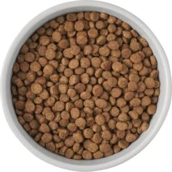 Frisco Cat Print Non-Skid Elevated Ceramic Cat Bowl, Tall -Mewhaus Shop 256099 PT4. AC SS1800 V1616522538