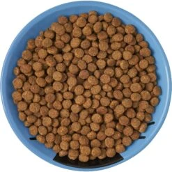 Frisco Cat Face Non-skid Ceramic Cat Dish, Blue 11 Frisco Cat Face Non-skid Ceramic Cat Dish, Blue -Mewhaus Shop 256101 PT5. AC SS1800 V1615321282