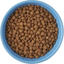Frisco Cat Face Non-skid Ceramic Cat Bowl, Blue -Mewhaus Shop 256103 PT5. AC SS1800 V1615312900