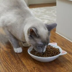 Frisco Cat Face Non-skid Ceramic Cat Dish 7 Frisco Cat Face Non-skid Ceramic Cat Dish -Mewhaus Shop 256105 PT2. AC SS1800 V1615310882