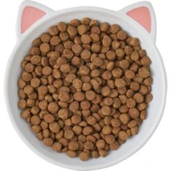 Frisco Cat Face Non-skid Ceramic Cat Dish 9 Frisco Cat Face Non-skid Ceramic Cat Dish -Mewhaus Shop 256105 PT5. AC SS1800 V1615321295
