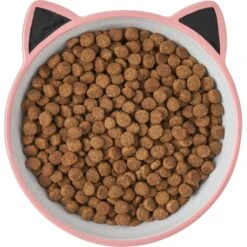 Frisco Cat Face Non-skid Ceramic Cat Bowl, Pink 9 Frisco Cat Face Non-skid Ceramic Cat Bowl, Pink -Mewhaus Shop 256107 PT5. AC SS1800 V1616522494