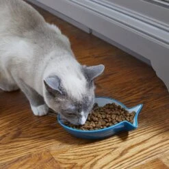 Frisco Fish Shaped Non-skid Ceramic Cat Dish 10 Frisco Fish Shaped Non-skid Ceramic Cat Dish -Mewhaus Shop 256109 PT3. AC SS1800 V1617196297