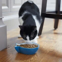 Frisco Fish Shaped Non-skid Ceramic Cat Bowl 12 Frisco Fish Shaped Non-skid Ceramic Cat Bowl -Mewhaus Shop 256111 PT6. AC SS1800 V1617037703