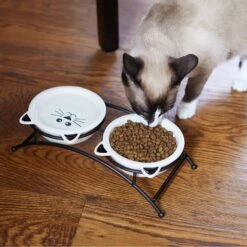 Frisco Cat Face Non-skid Elevated Double Ceramic Cat Bowl -Mewhaus Shop 256113 PT2. AC SS1800 V1616522604