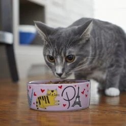 Frisco Paris Non-skid Ceramic Cat Dish 8 Frisco Paris Non-skid Ceramic Cat Dish -Mewhaus Shop 256117 PT2. AC SS1800 V1615311397