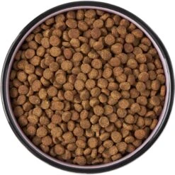 Frisco Paris Non-skid Ceramic Cat Dish 11 Frisco Paris Non-skid Ceramic Cat Dish -Mewhaus Shop 256117 PT5. AC SS1800 V1615311392