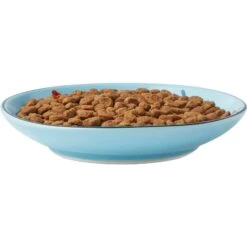 Frisco New York Non-skid Ceramic Cat Dish -Mewhaus Shop 256119 PT5. AC SS1800 V1618494742