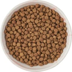 Frisco Marble Design Non-skid Ceramic Cat Bowl -Mewhaus Shop 256125 PT5. AC SS1800 V1615311382