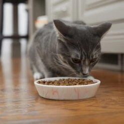 Frisco Marble Design Non-skid Ceramic Cat Bowl -Mewhaus Shop 256125 PT6. AC SS1800 V1617037714