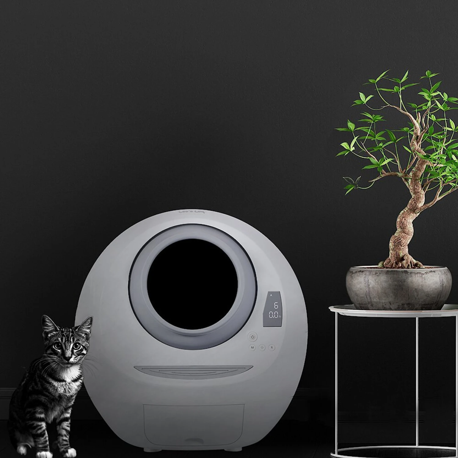 Casa Leo Leo's Loo Covered Automatic Self-Cleaning Cat Litter Box 3 Casa Leo Leo's Loo Covered Automatic Self-Cleaning Cat Litter Box - Image 3