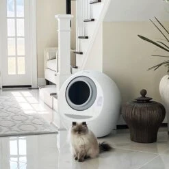 Casa Leo Leo's Loo Covered Automatic Self-Cleaning Cat Litter Box 17 Casa Leo Leo's Loo Covered Automatic Self-Cleaning Cat Litter Box -Mewhaus Shop 257260 PT8. AC SS1800 V1651423882