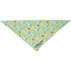 Frisco Citrus Personalized Dog & Cat Bandana -Mewhaus Shop 258758 PT3. AC SS1800 V1619559797
