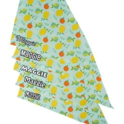 Frisco Citrus Personalized Dog & Cat Bandana -Mewhaus Shop 258758 PT4. AC SS1800 V1619558899