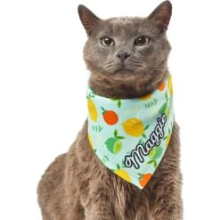 Frisco Citrus Personalized Dog & Cat Bandana -Mewhaus Shop 258758 PT7. AC SS1800 V1619560408
