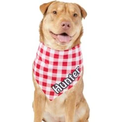Frisco Gingham Personalized Dog & Cat Bandana 15 Frisco Gingham Personalized Dog & Cat Bandana -Mewhaus Shop 258775 PT6. AC SS1800 V1619558303