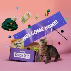 Goody Box Kitten Toys & Treats -Mewhaus Shop 258991 PT2. AC SS1800 V1657656401