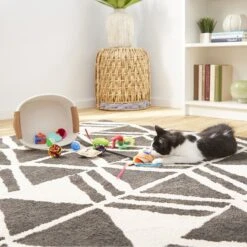 Goody Box Kitten Toys & Treats -Mewhaus Shop 258991 PT4. AC SS1800 V1657656402