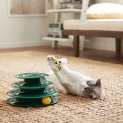 Goody Box Kitten Toys & Treats -Mewhaus Shop 258991 PT5. AC SS1800 V1657656402