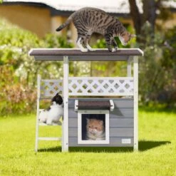 Petsfit Outdoor Cat House -Mewhaus Shop 261505 PT5. AC SS1800 V1605666930