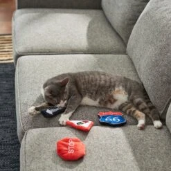 Frisco Road Trip Traffic Signs Plush Cat Toy With Catnip 5 Frisco Road Trip Traffic Signs Plush Cat Toy With Catnip -Mewhaus Shop 262024 PT3. AC SS1800 V1618598335