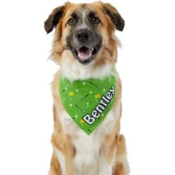 Frisco Golf Personalized Dog & Cat Bandana 15 Frisco Golf Personalized Dog & Cat Bandana -Mewhaus Shop 263017 PT6. AC SS1800 V1619557636