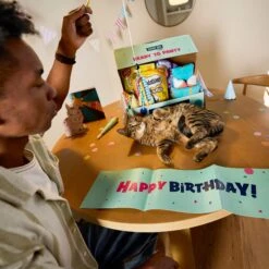 Goody Box Birthday Cat Toys, Treats & Collar 11 Goody Box Birthday Cat Toys, Treats & Collar -Mewhaus Shop 264415 PT2. AC SS1800 V1678387796